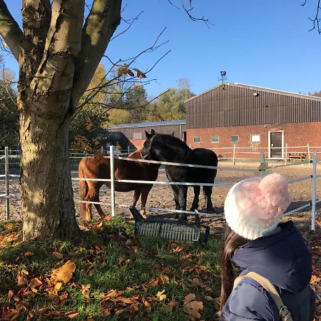 Baumberger Ferienhaus Mit Garten & Wintergarten Mit 3 Schlafzimmern & 2 Baedern