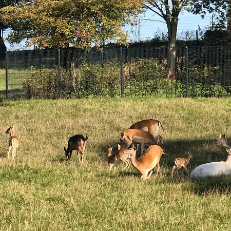 Baumberger Ferienhaus Mit Garten & Wintergarten Mit 3 Schlafzimmern & 2 Baedern *