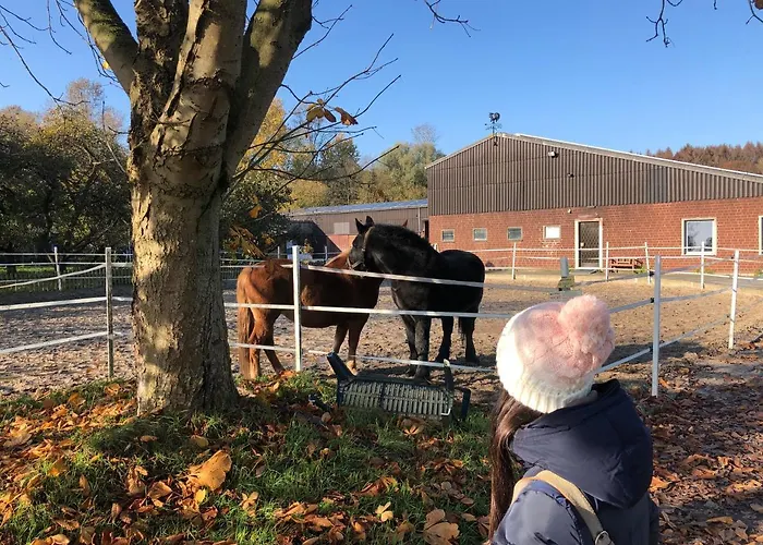 Baumberger Ferienhaus Mit Garten & Wintergarten Mit 3 Schlafzimmern & 2 Baedern